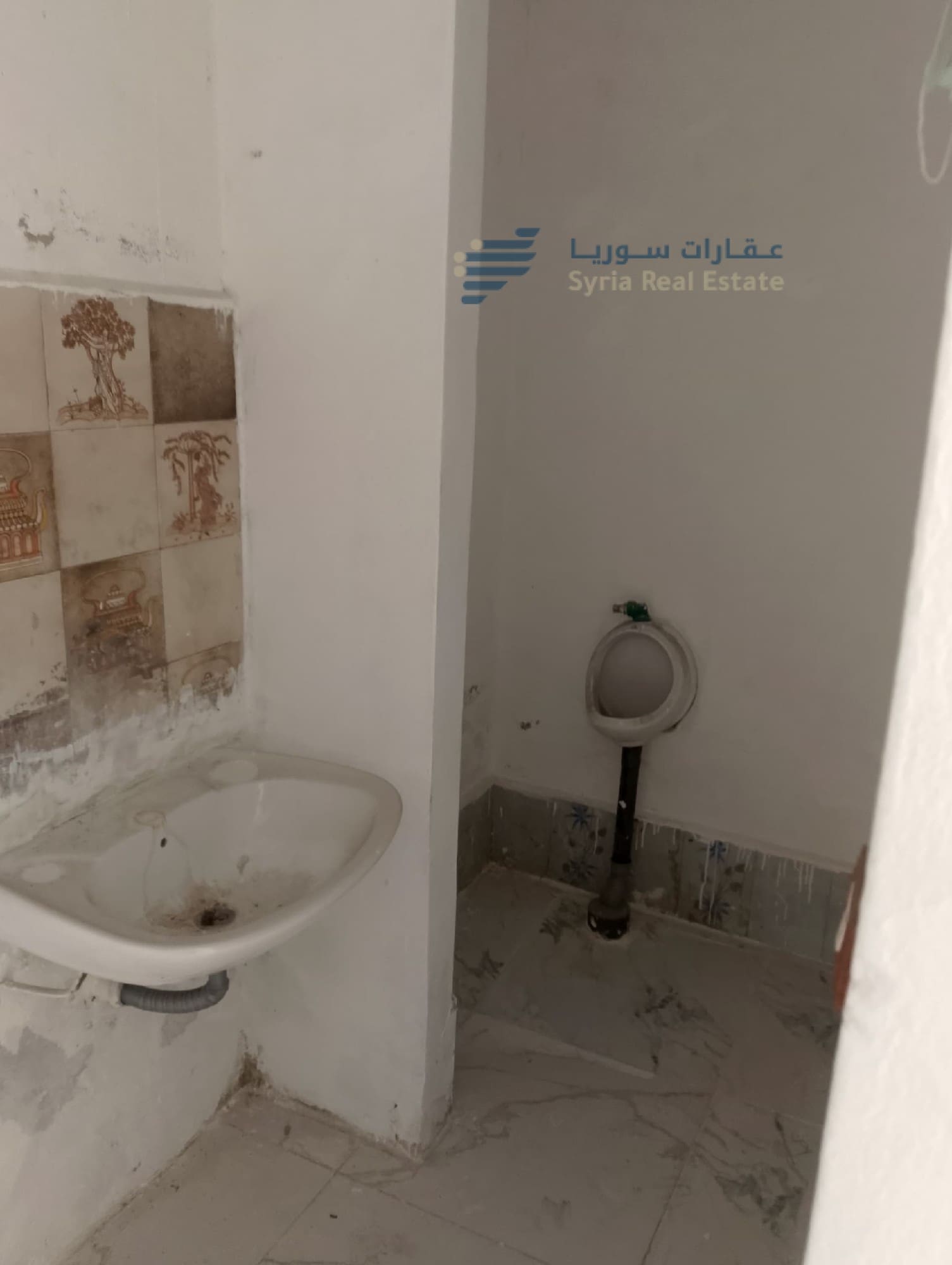 scaled_80500 جبلة العمارة