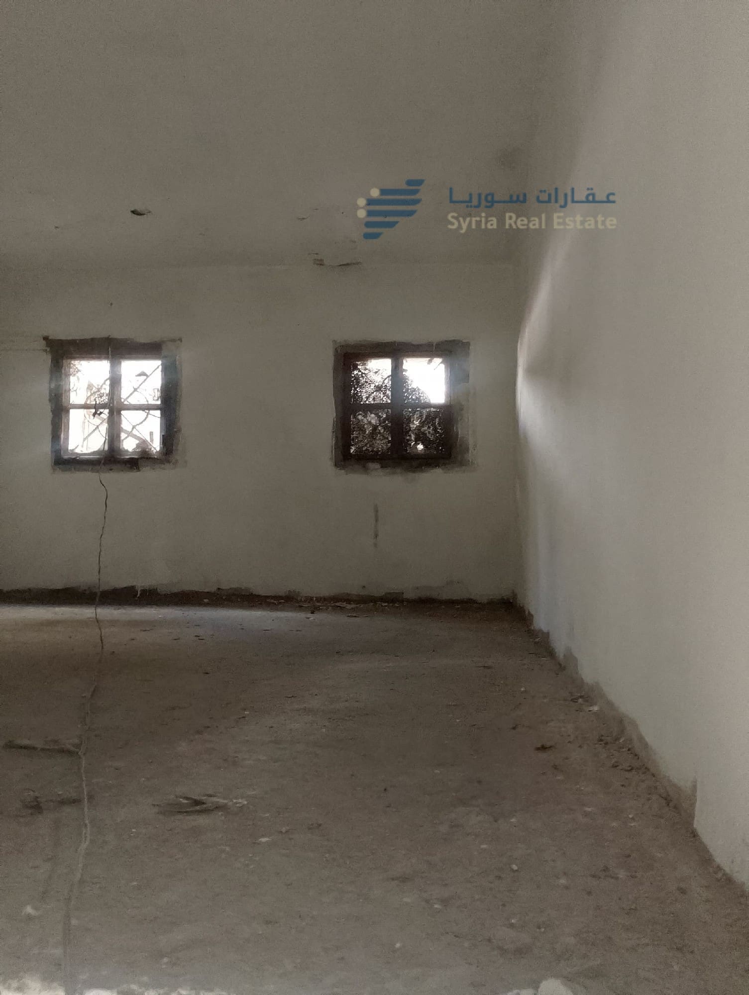 scaled_80539 جبلة العمارة